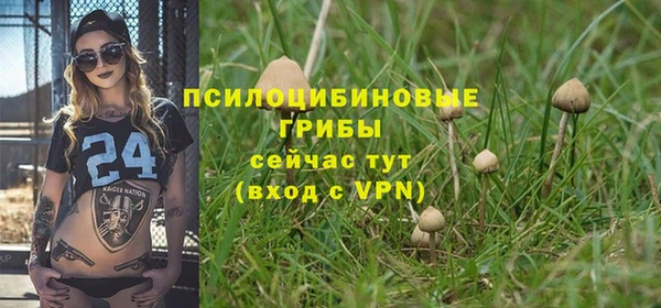 бошки Алексин