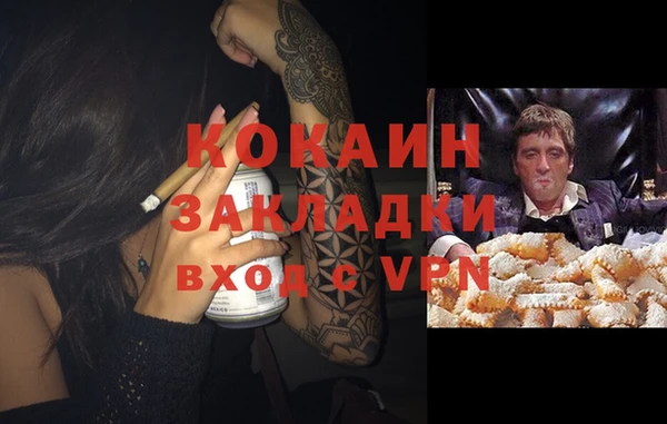 соль ск Алзамай