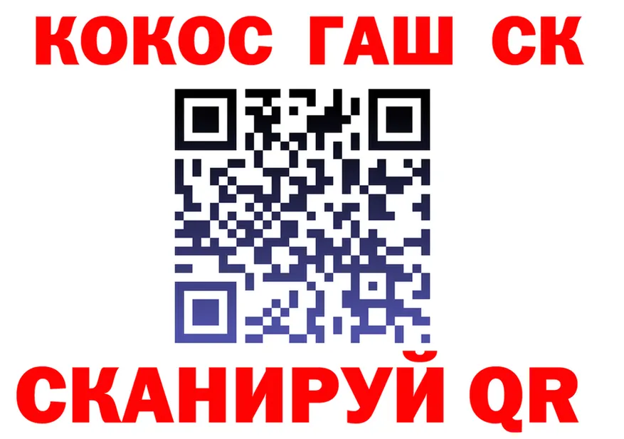 ГАШ Изолятор вход мориарти гидра Ковылкино